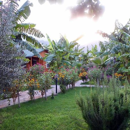 Estelar Bungalow Cirali Exterior photo